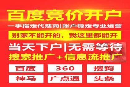 XX领域竞价广告的投放策略及效果展示